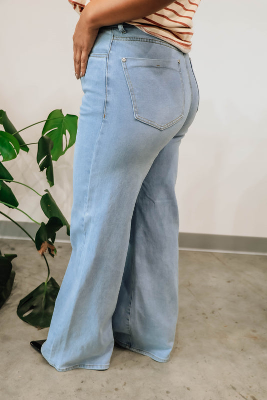 High-Rise Essential Wide Leg Jeans: Light Stone
